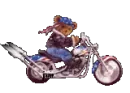 Bear Biker
