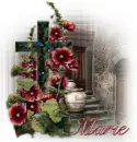 Cross and Hollyhocks - Marie