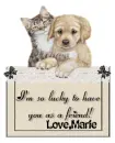 Dog & Cat