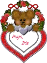 Bear Hugs - Iris