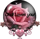 Pink Rose - Cindi Loves You!