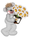 CREDDY BEAR WITH FLOWERS