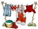 CREDDY BEAR HANGING OUT TO DRY