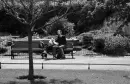 lovers bench