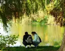 friends