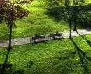 park friends