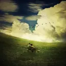 green love place