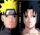 naruto shippunden
