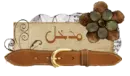 arabic : ( introduction )