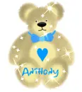 Bear ANTHONY
