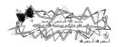 arabic : salams