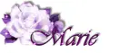 rose ~~~MARIE