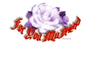 FOR YOU MY ANGEL 