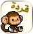 arabic - ( monkey )
