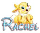 bunny rachel