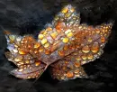 Leafs