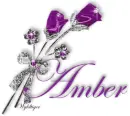 Purple Roses - Amber