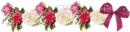 Pink Bow and roses (2/2)