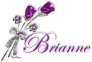 Purple Roses - Brianne
