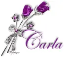 Purple Roses - Carla
