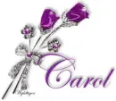 Purple Roses - Carol