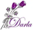 Purple Roses - Darla