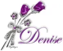 Purple Roses - Denise