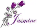Purple Roses - Jasmine