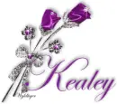 Purple Roses - Kealey