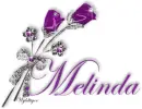 Purple Roses - Melinda