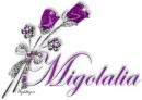 Purple Roses - Migolalia