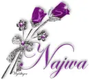 Purple Roses - Najwa