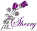 Purple Roses - Sherry