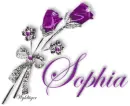 Purple Roses - Sophia