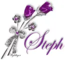 Purple Roses - Steph