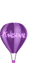 Hot Air Ballon