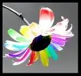 colorfu flower
