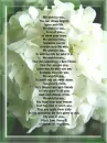 My Wish for You