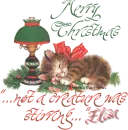 Not a Creature was Stirring_Elisa