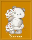 Bear with Daisies Winks - Shonna