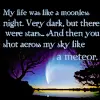my meteor