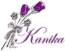 Purple Roses - Kanika