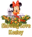 minnie mouse kealey