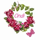 Beautiful Pink Flowers - Cindi