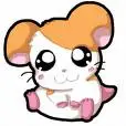 hamtaro