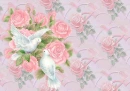 doves