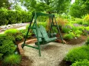 swing nature