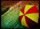 umbrella