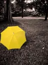 yellow umbrella