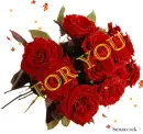 rose for You 